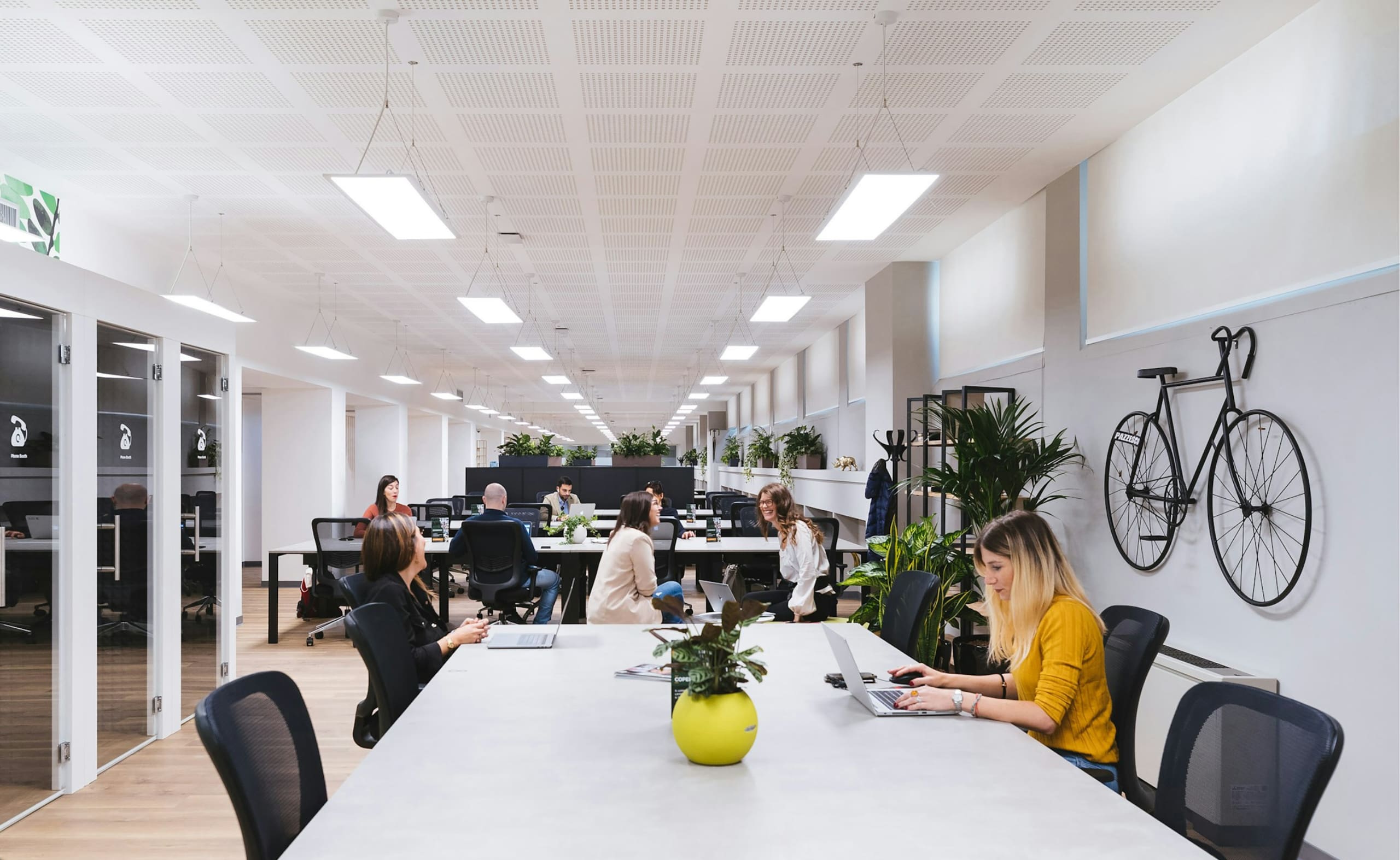 Spacious working area with natural light, shared desks, and green plants.
