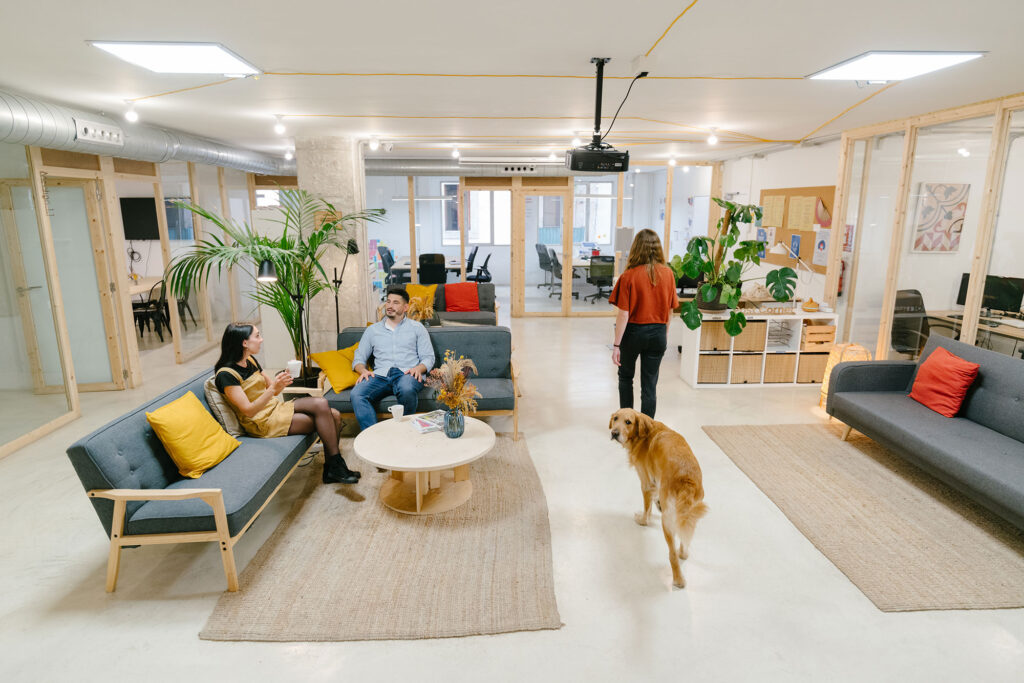 A pet-friendly space at MOB Barcelona.